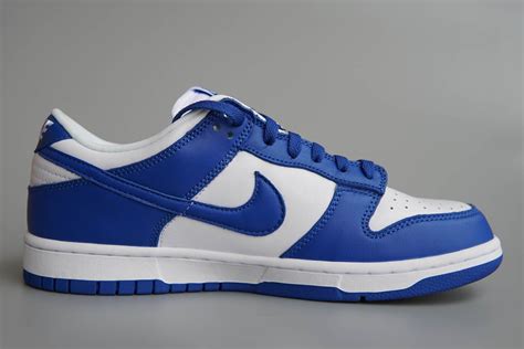 blue dark and white dunks